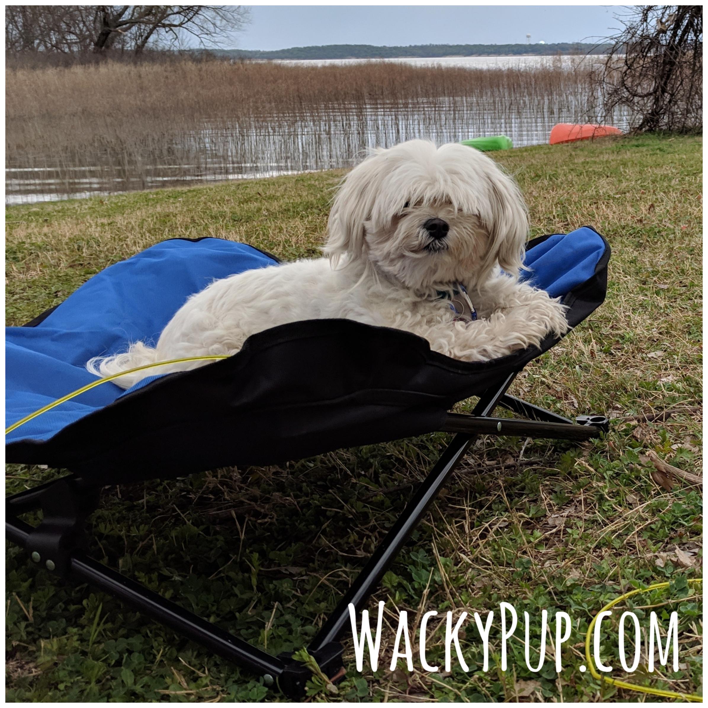 Emily relaxing at the lake