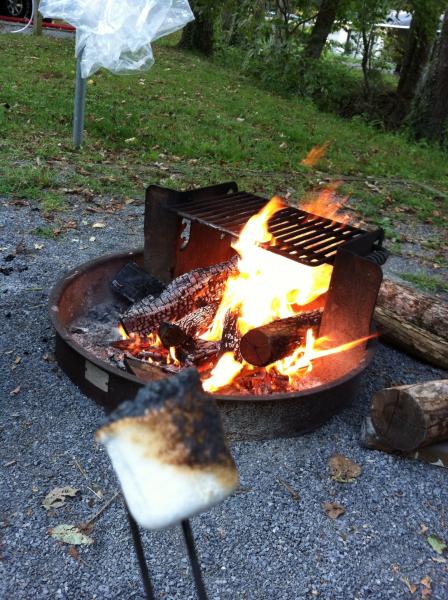 Enjoying the fire & marshmallows.