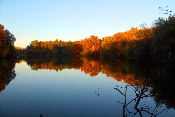 Fall Mirror Image - Lake Evergreen, Hudson, IL