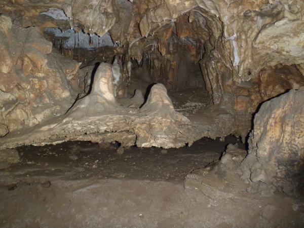 flashlight tour of the cave - Florida Caverns SP - Memorial Day wkd