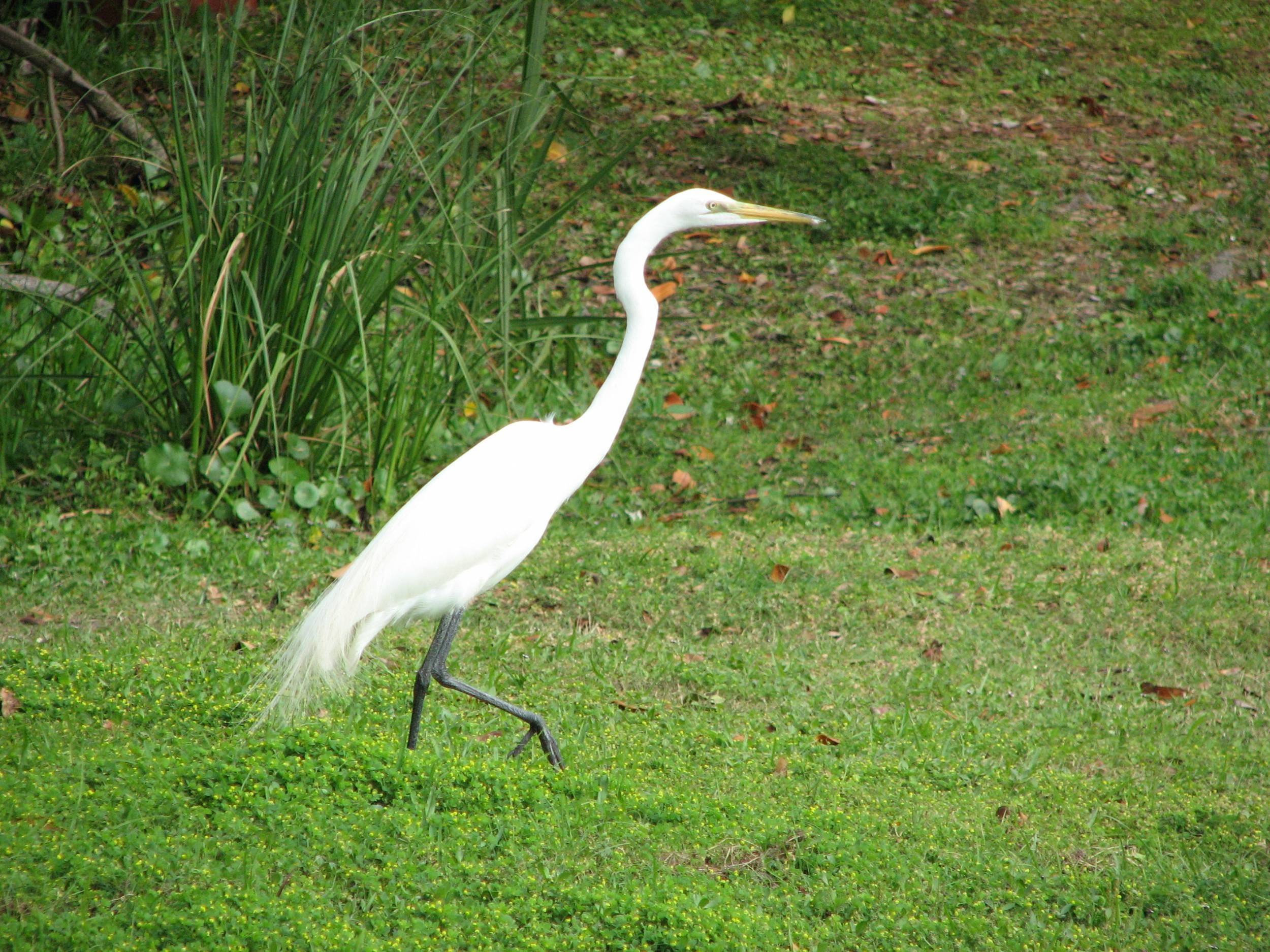 Florida_2010-16