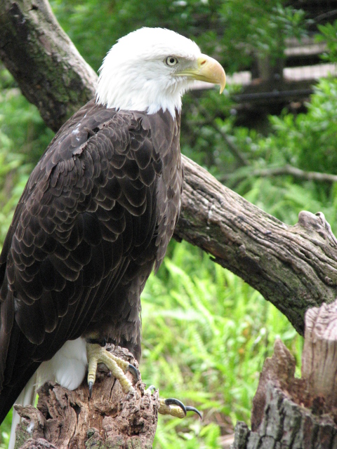 Florida_2010-181