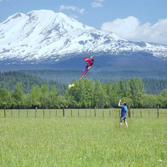 fly a kite