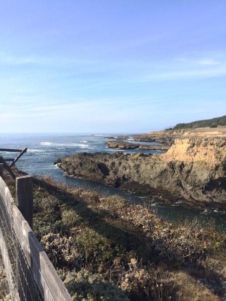 Fort Bragg coastline