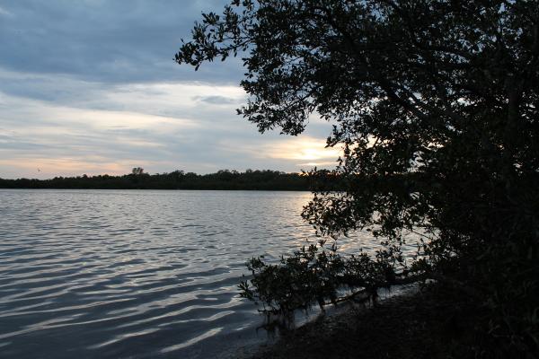 Fort De Soto, St. Petersburg, FL - June 29