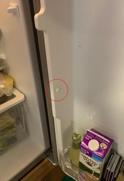 Fridge Door