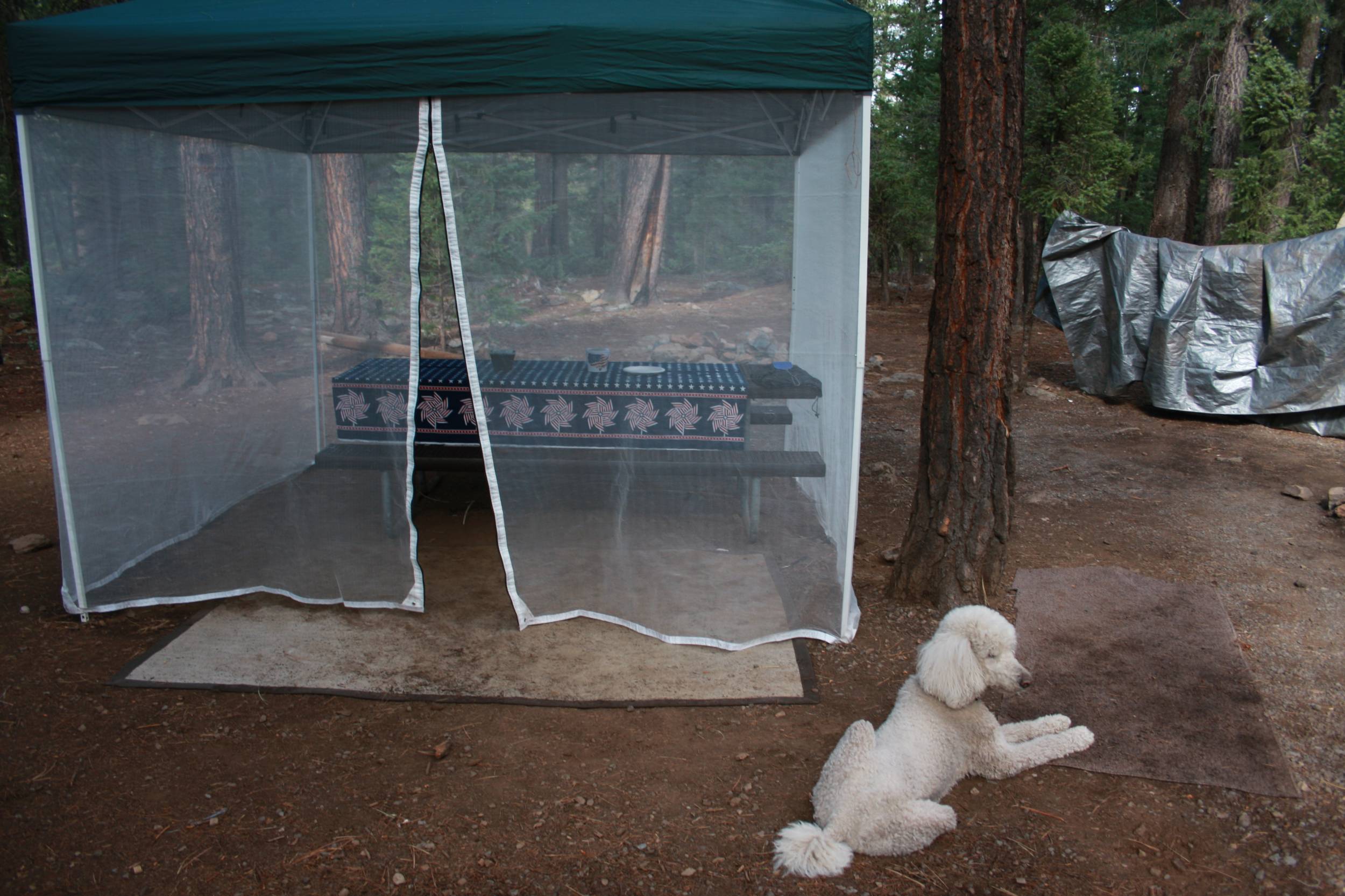 Gabe, loves camping as much as we do.