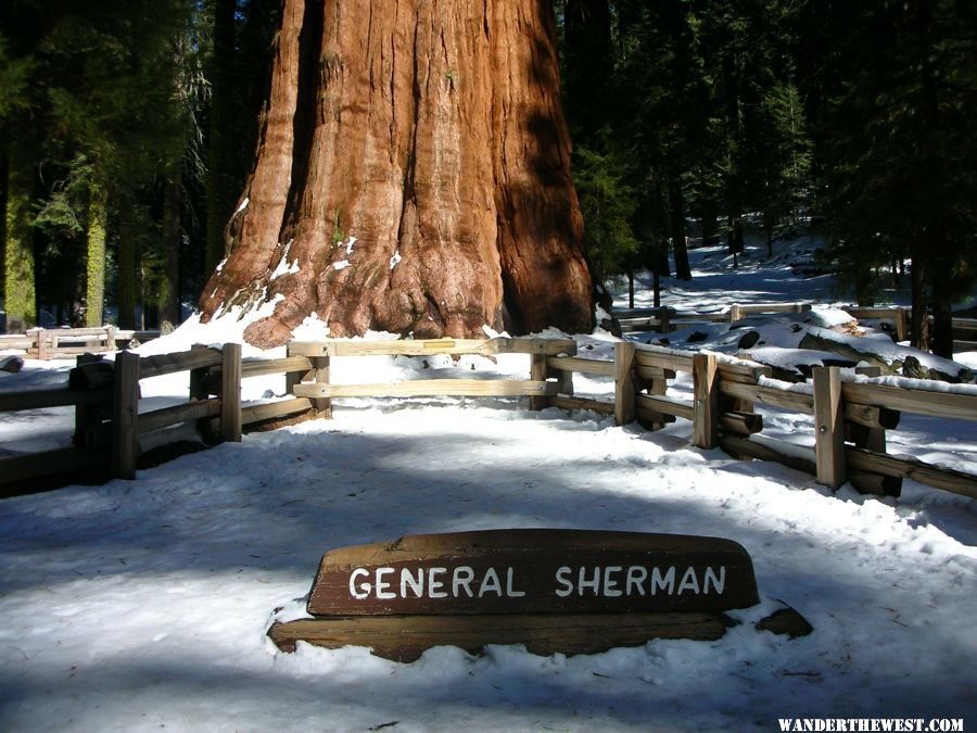 General Sherman