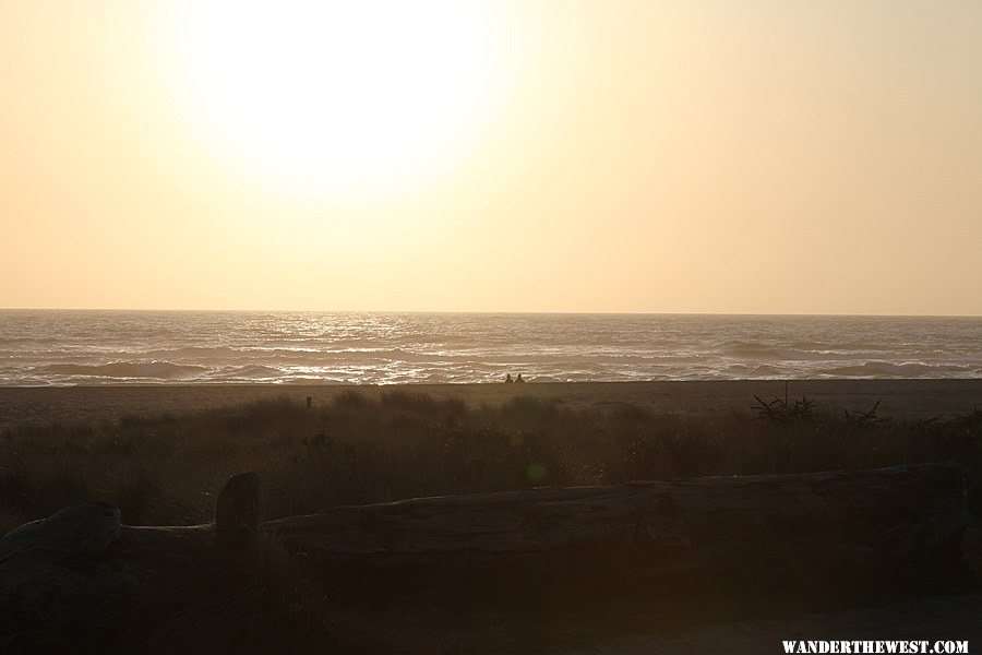 Gold Bluffs Beach May 2009