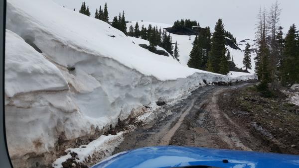 Governor Basin - Ouray CO