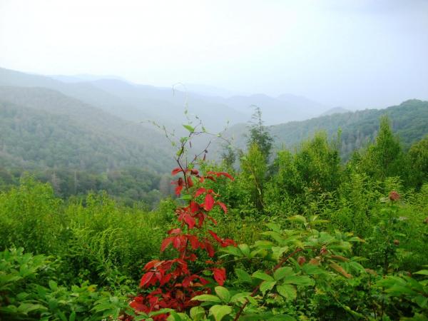 Great Smokies