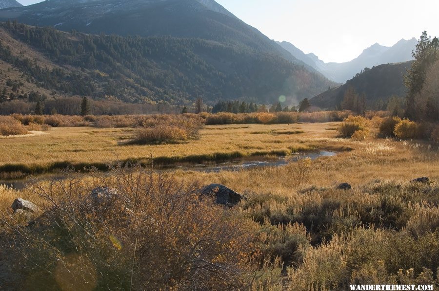 Green Creek in the eastern Sierra