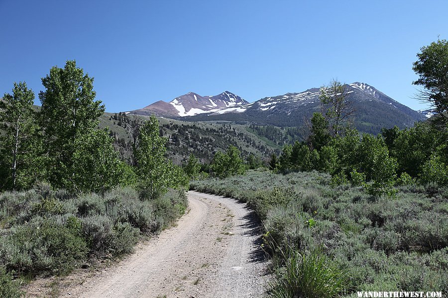 Green Creek Road - Eastern Sierra