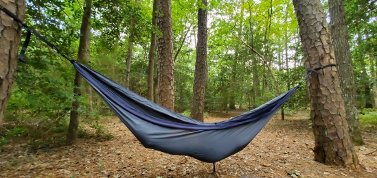 Hammock