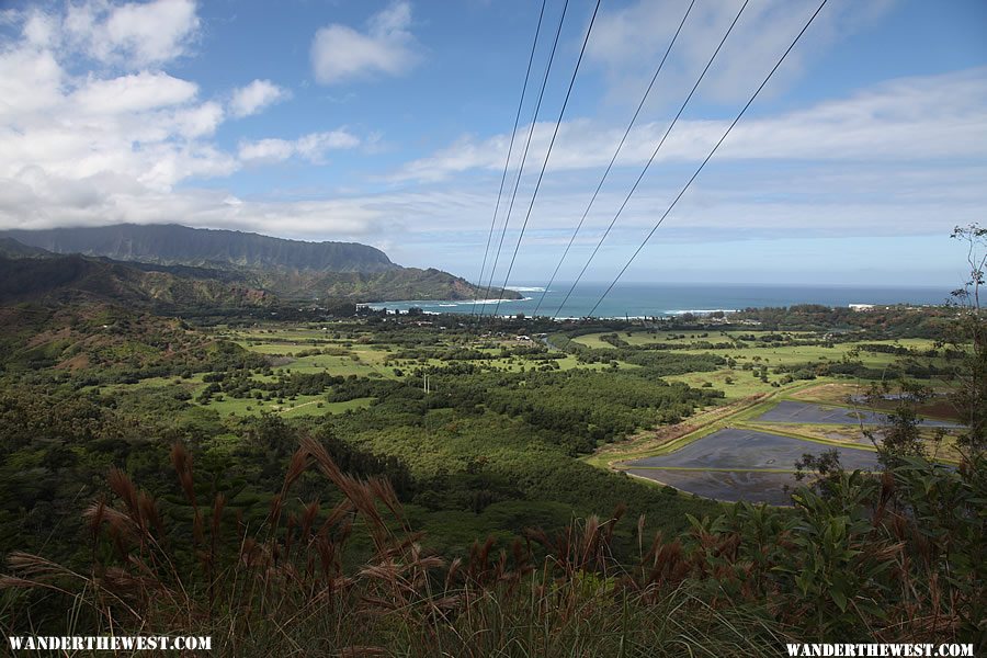 Hanalei Okolehao Trail