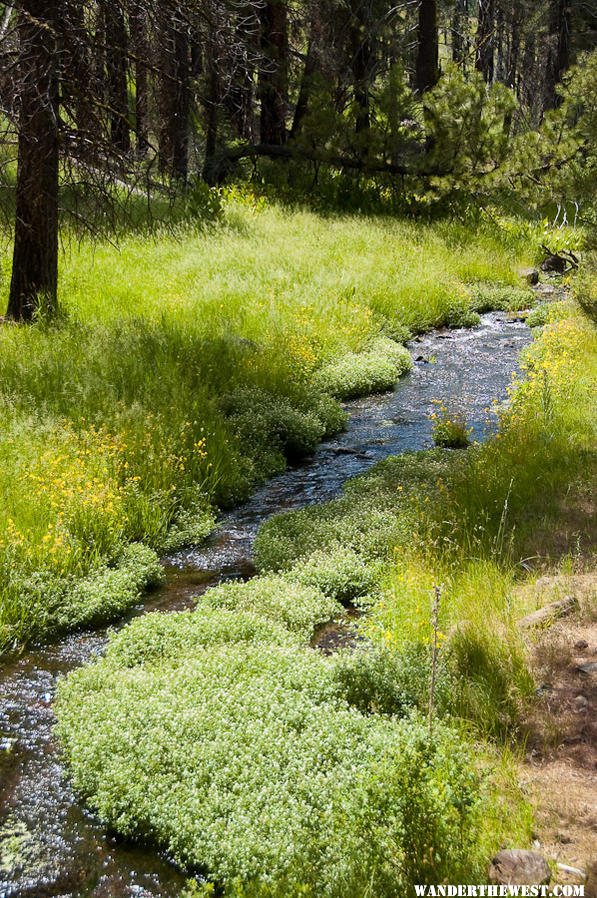 Hike above Blue Lake Campground - Modoc National Forest