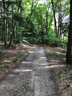 Hoffmaster State Park Campground July 12, 2020
One of the very few trails we found around the Hoffmaster Campground.