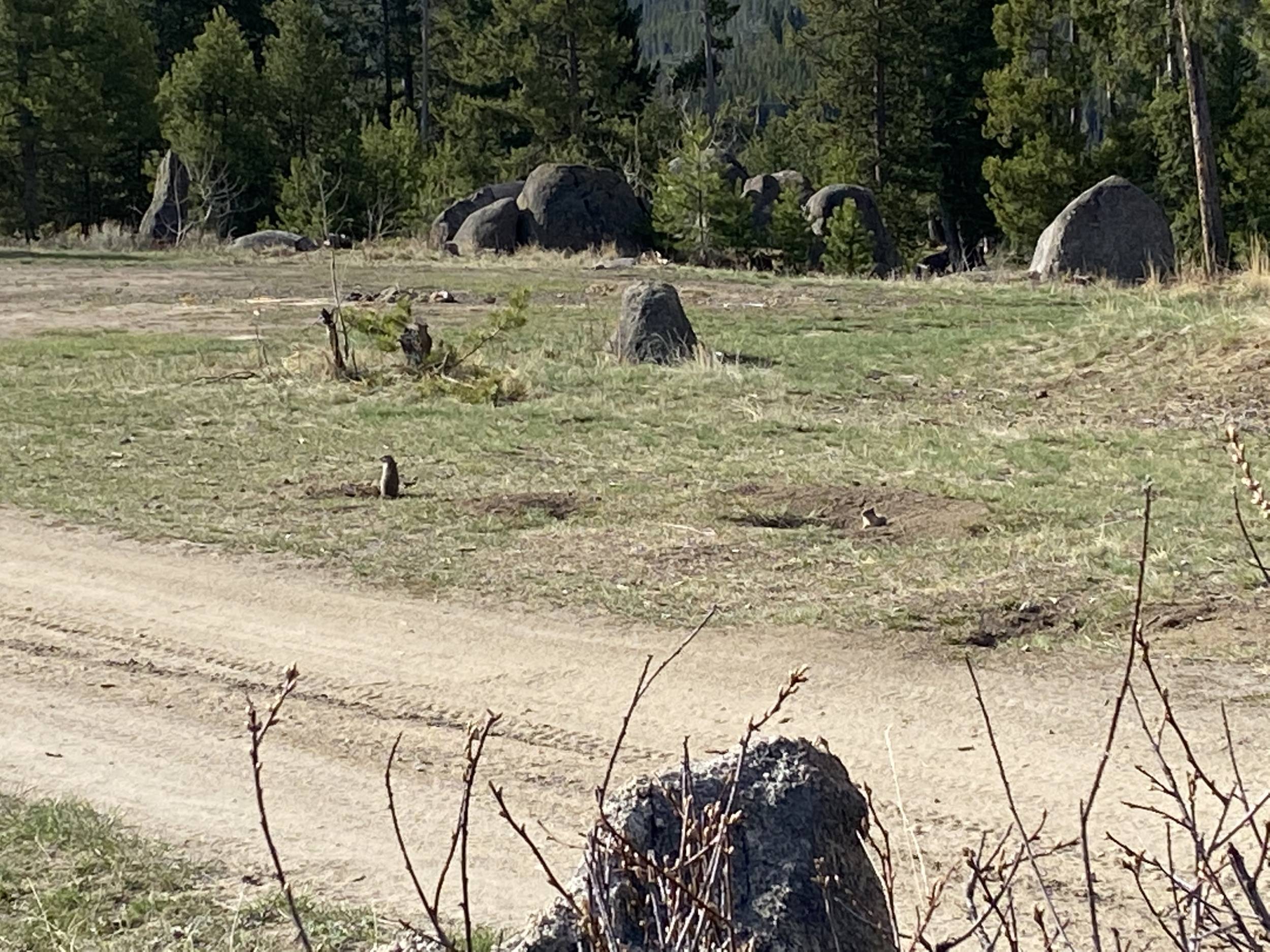 Homestake Pass BLM Montana