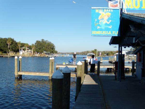 Homosassa River