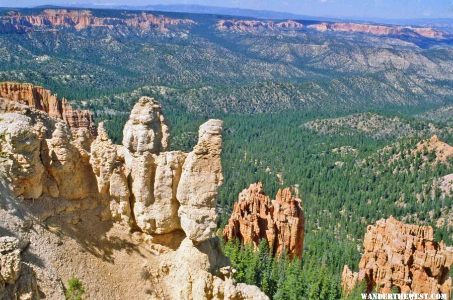 Hoodoos along the Bryce Rim