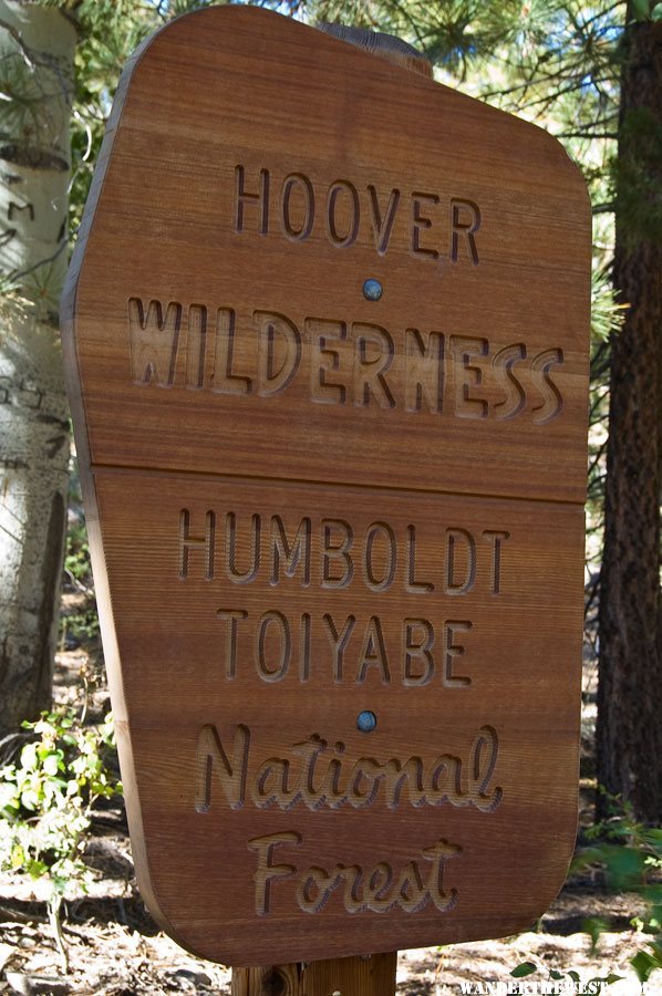 Hoover Wilderness