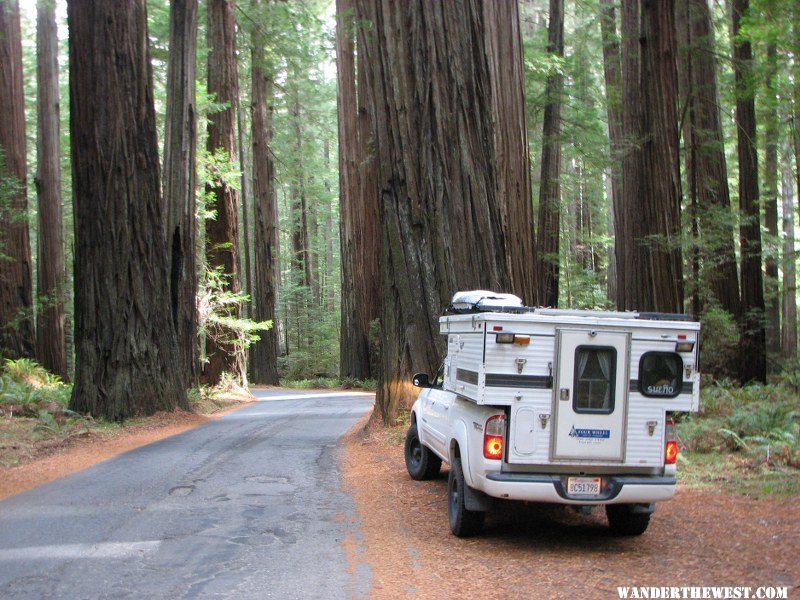 Humboldt Redwoods SP