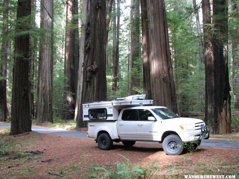 Humboldt Redwoods SP