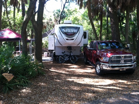 Hunting Island SC site 102