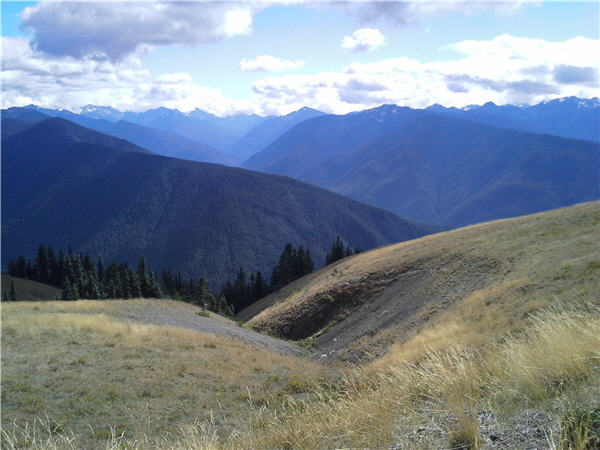 Hurricane ridge - PNW