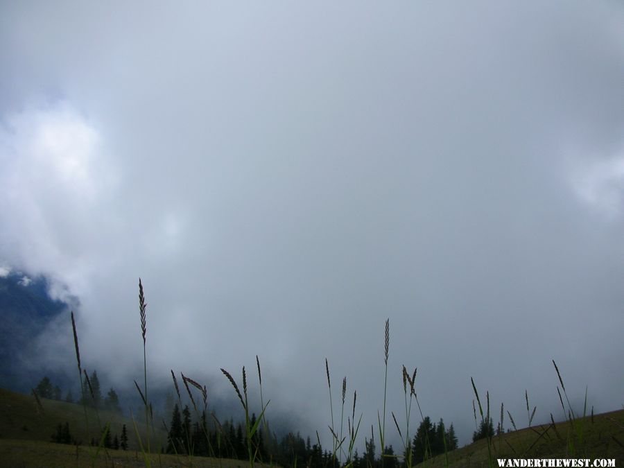 Hurricane Ridge View - August 2007