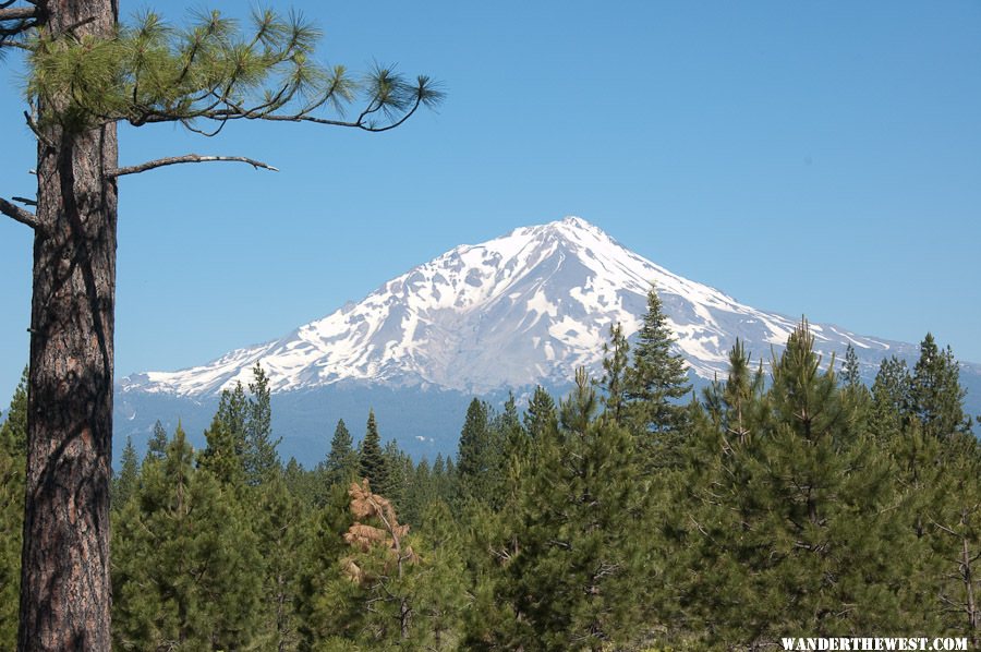 Hwy 89 - Mt. Shasta