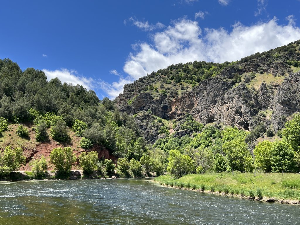 Idaho: Wetlands at Red Point campground