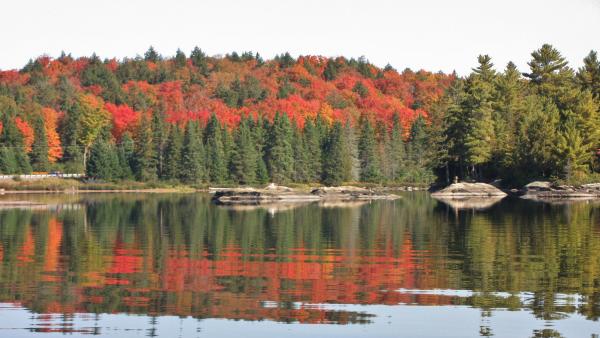 IMG 4437 Lake of Two Rivers Algonquin Park Ont