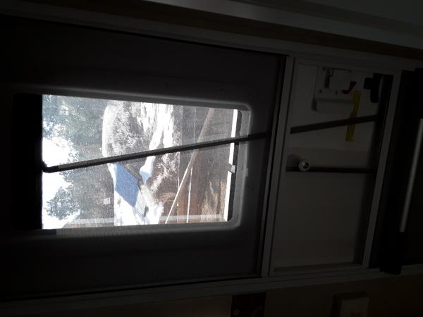 In order to work the new blind with the door closed, and the screen door in the way I added a plastic rod to the blind and it is long enough to reach 