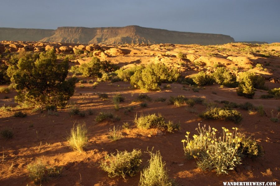 Indian Creek BLM Sunset