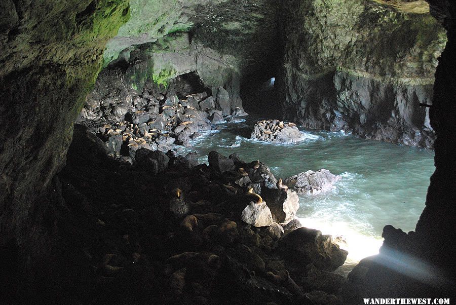 Inside the Sea Lion Caves