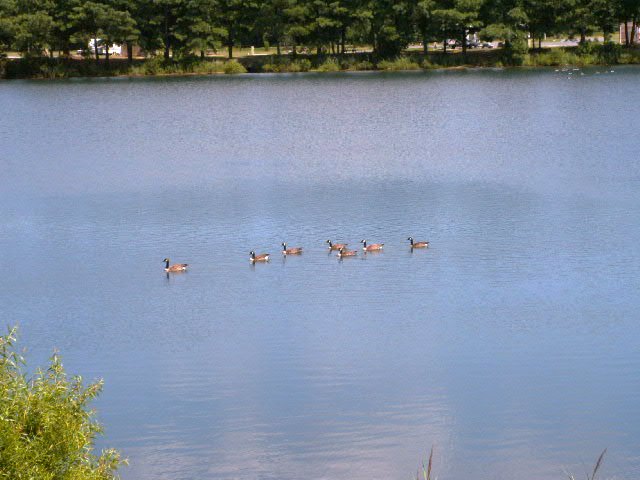 Island Resort Campground, Berlin MD