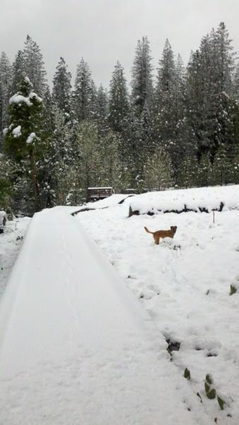 Jake wondering where all the white stuff came from on the Boardwalk?