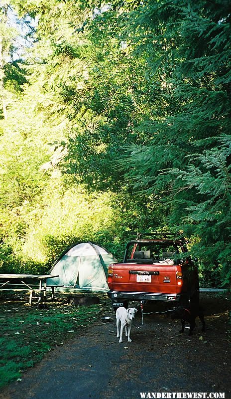 Jessie M. Honeyman Memorial State Park