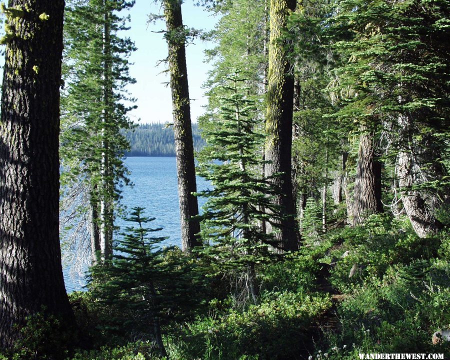 Juniper lake