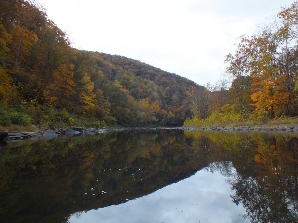 Kayaking on the Greenbrier