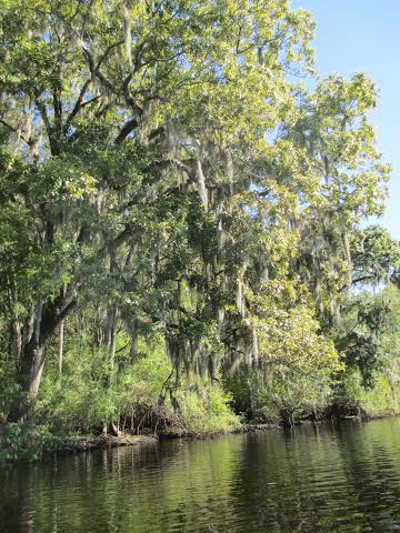 Kayaking_on_the_Suwanee2