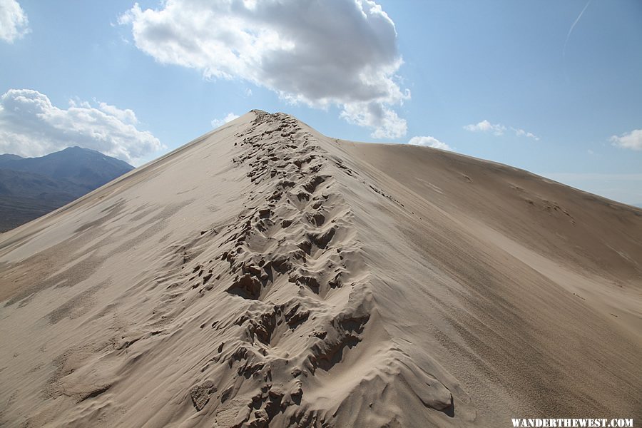 Kelso Dunes