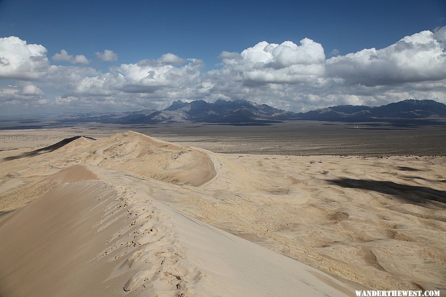 Kelso Dunes