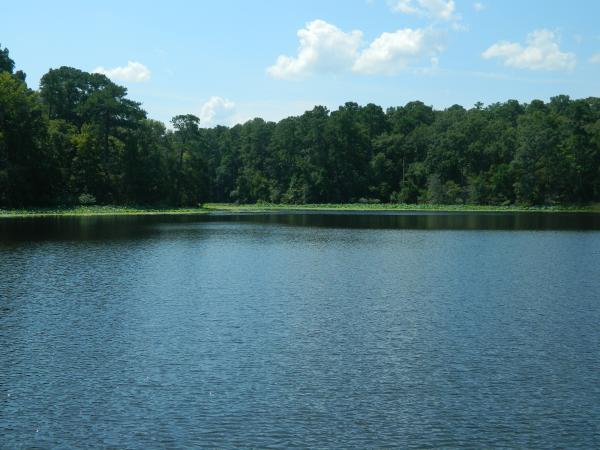 Lake from fishing pier