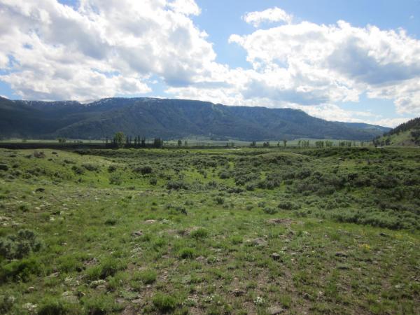 Lamar Valley, Yellowstone