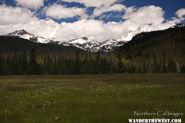 Lassen from the bottom