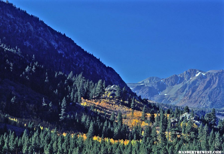 Late Fall on the Dana Lake Trail