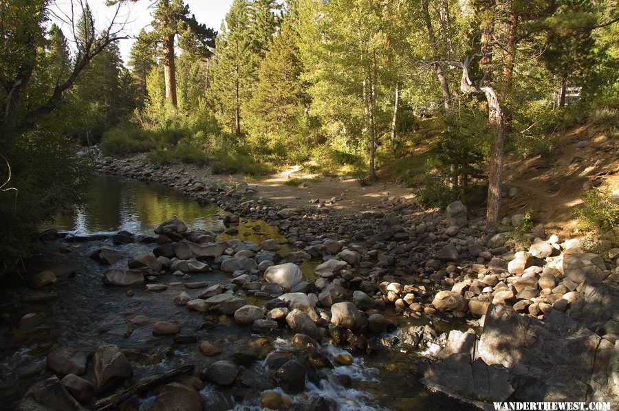 Leavitt Meadows Campground