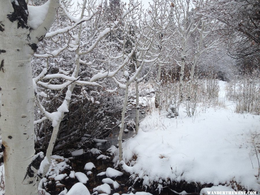 Lehman Creek in winter